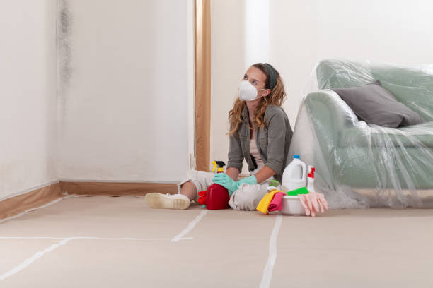 Reliable Black Mold Removal contractor in East Jordan, MI by WQB Mold Removal